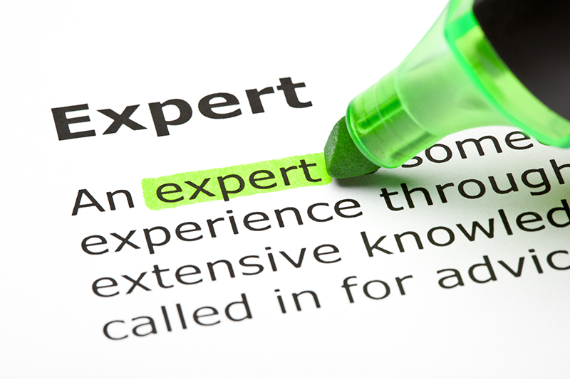 Expert Definition 