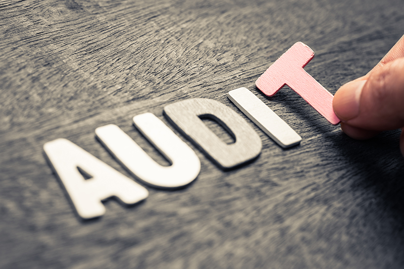 Audit